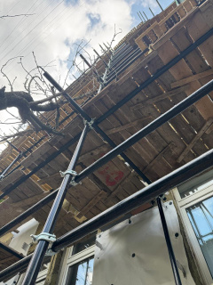 Хомутовые леса ЛСПХ