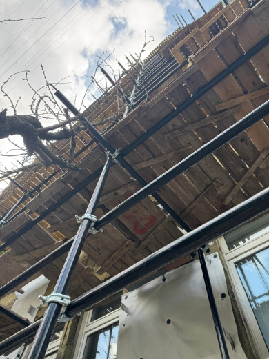 Хомутовые леса ЛСПХ